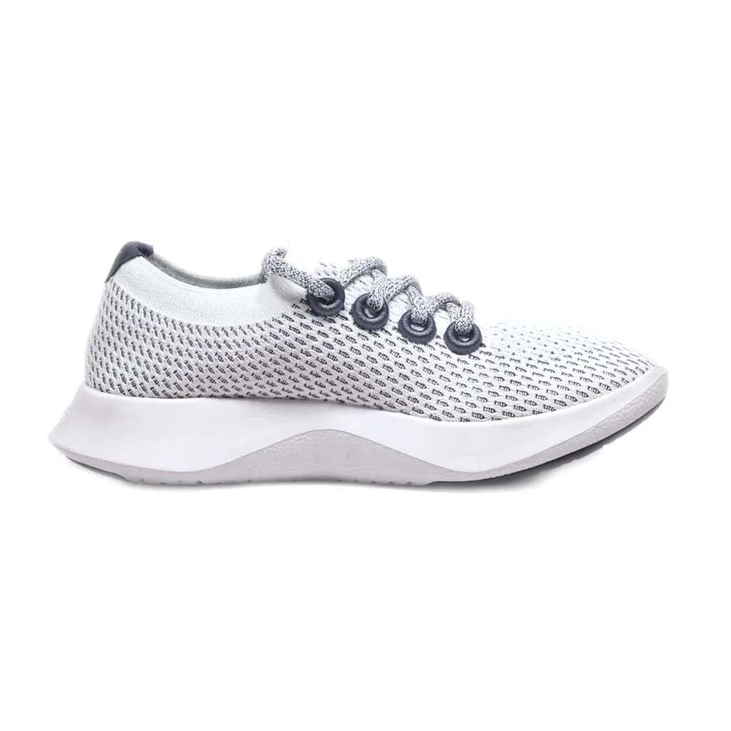Allbirds Tree Dasher Td Sport Shoes Fabric Grey Colour For Women