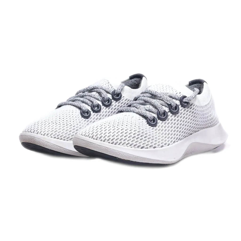 Allbirds Tree Dasher Td Sport Shoes Fabric Grey Colour For Women