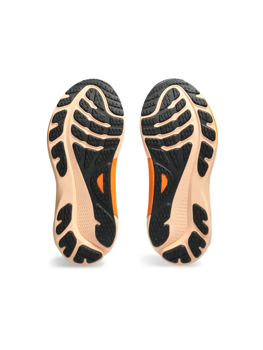 Asics Gel-Kayano 30 Men's Shoes