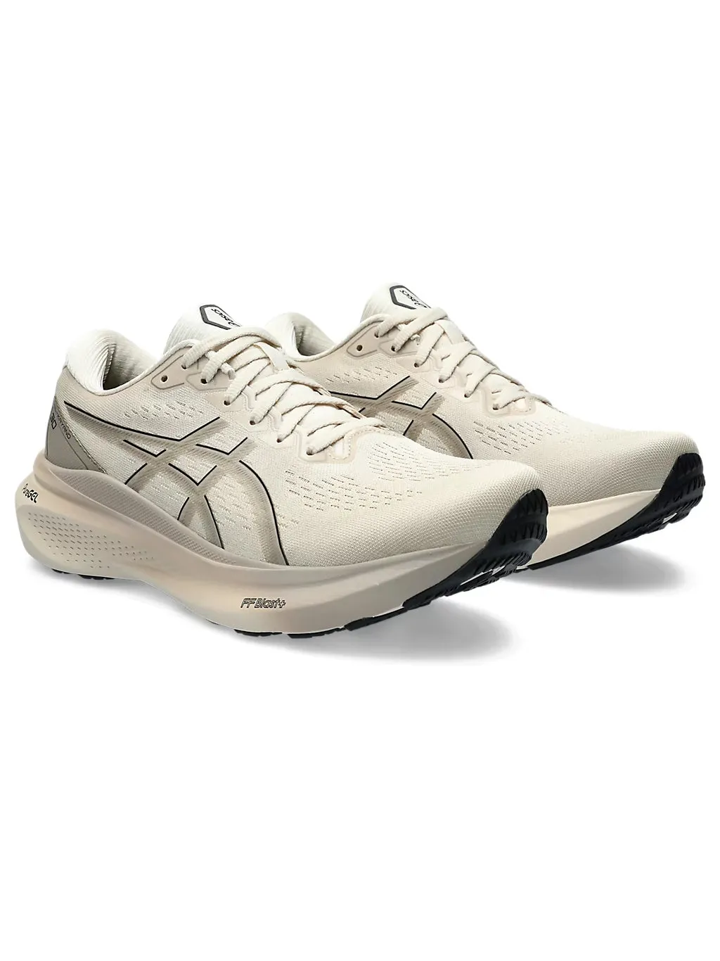 Asics Gel-Kayano 30 Men's Shoes