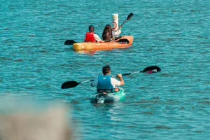 GOOSE HUMMOCK GROUP KAYAK TOUR TO HOPKINS ISLAND $50 PER PERSON 2 HOUR