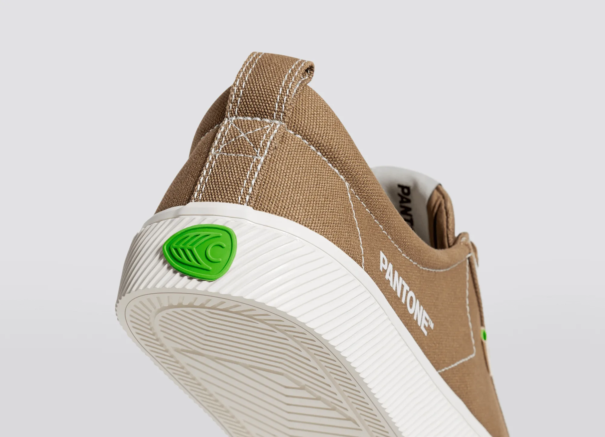 OCA Low Pantone Lion Canvas Contrast Thread Sneaker Men