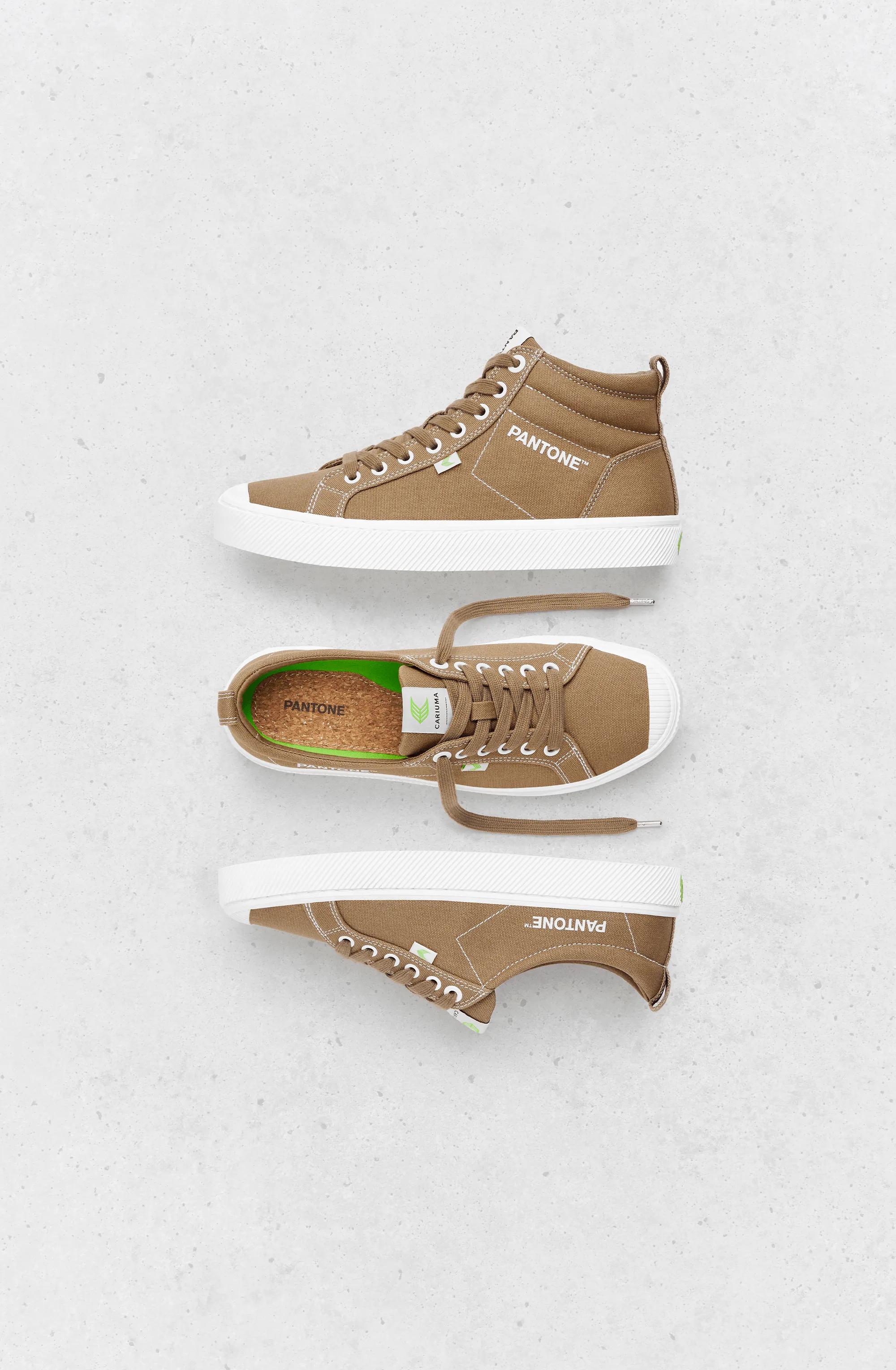OCA Low Pantone Lion Canvas Contrast Thread Sneaker Men