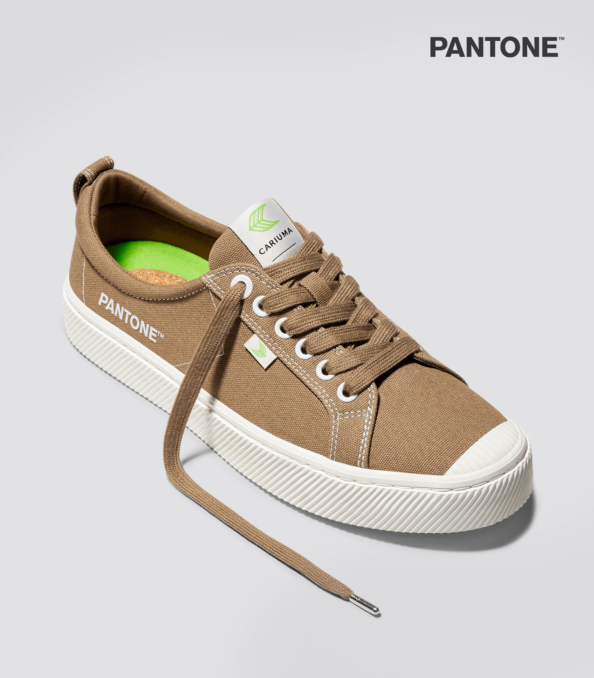 OCA Low Pantone Lion Canvas Contrast Thread Sneaker Men