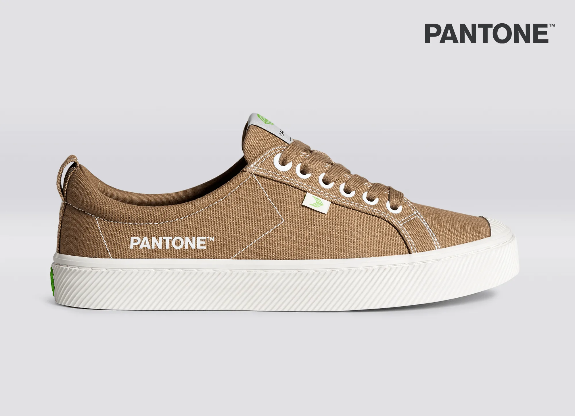 OCA Low Pantone Lion Canvas Contrast Thread Sneaker Men